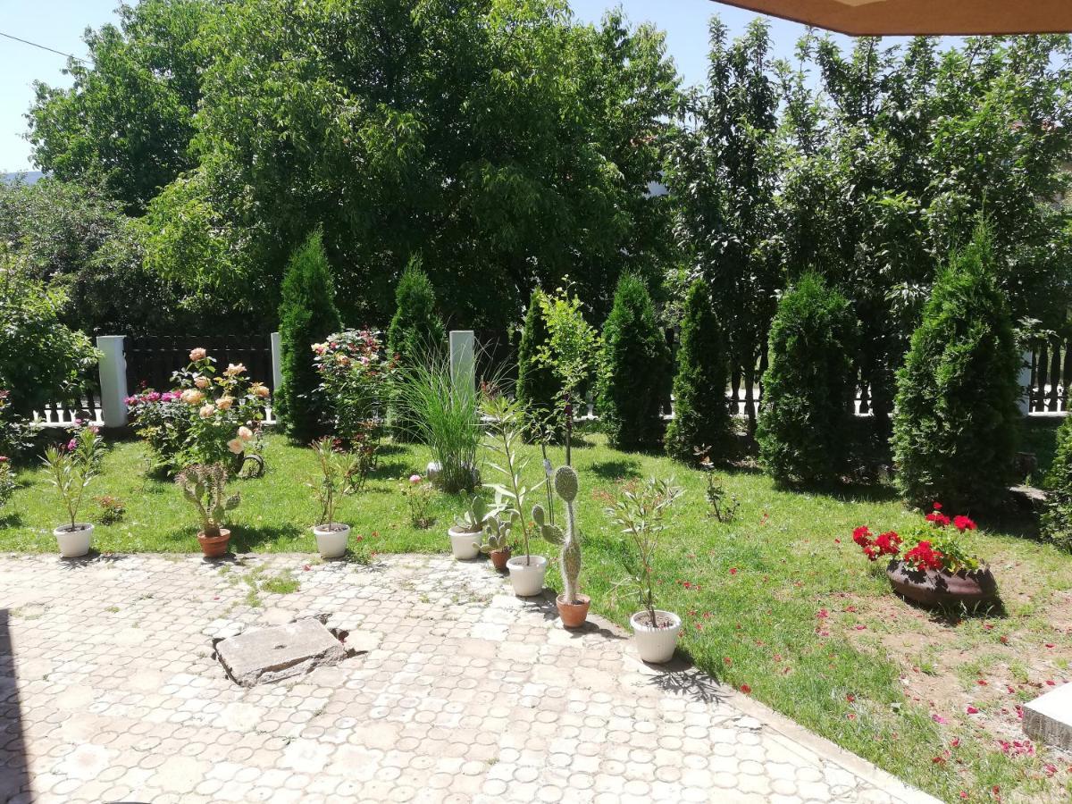 Apartmani Tvins Soko Banja Exterior foto