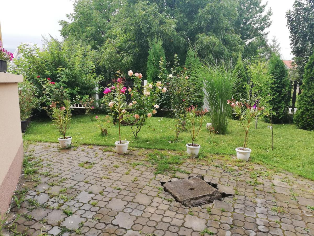 Apartmani Tvins Soko Banja Exterior foto