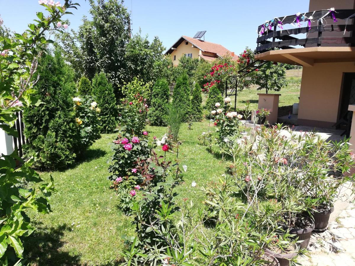 Apartmani Tvins Soko Banja Exterior foto