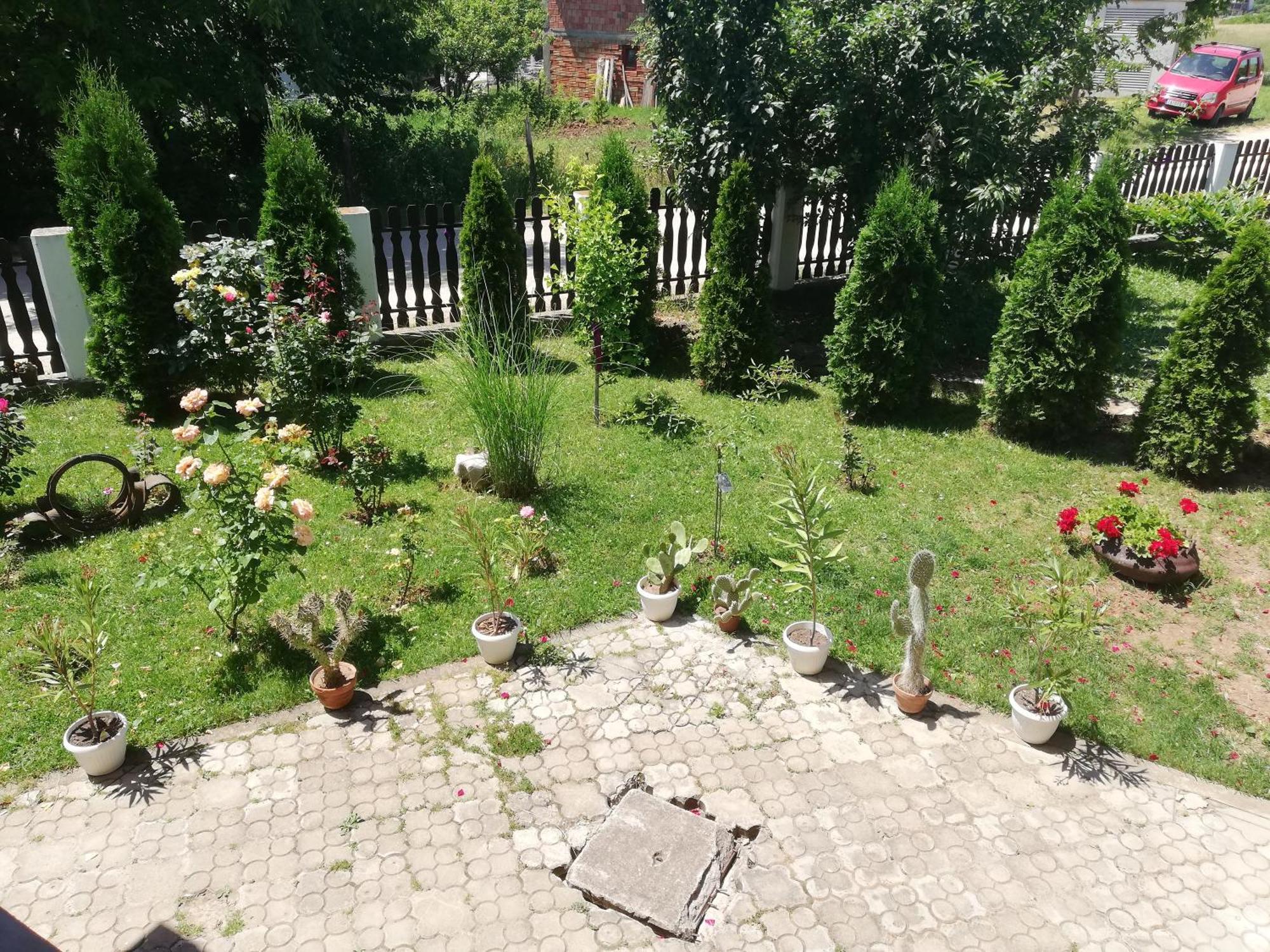 Apartmani Tvins Soko Banja Exterior foto